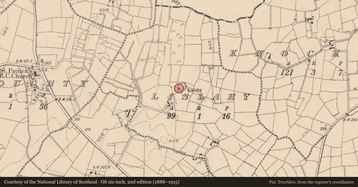 Ordnance Survey six-inch map, 2nd edition (1888–1915) covering the location of Ringfort - rath, Lislahy, County Leitrim, with a pin at the register's coordinates
