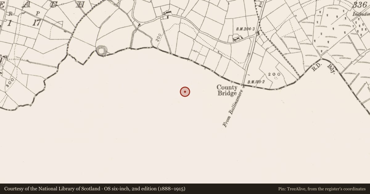 Ordnance Survey six-inch map, 2nd edition (1888–1915) covering the location of Ringfort - rath, Glebe, County Leitrim, with a pin at the register's coordinates