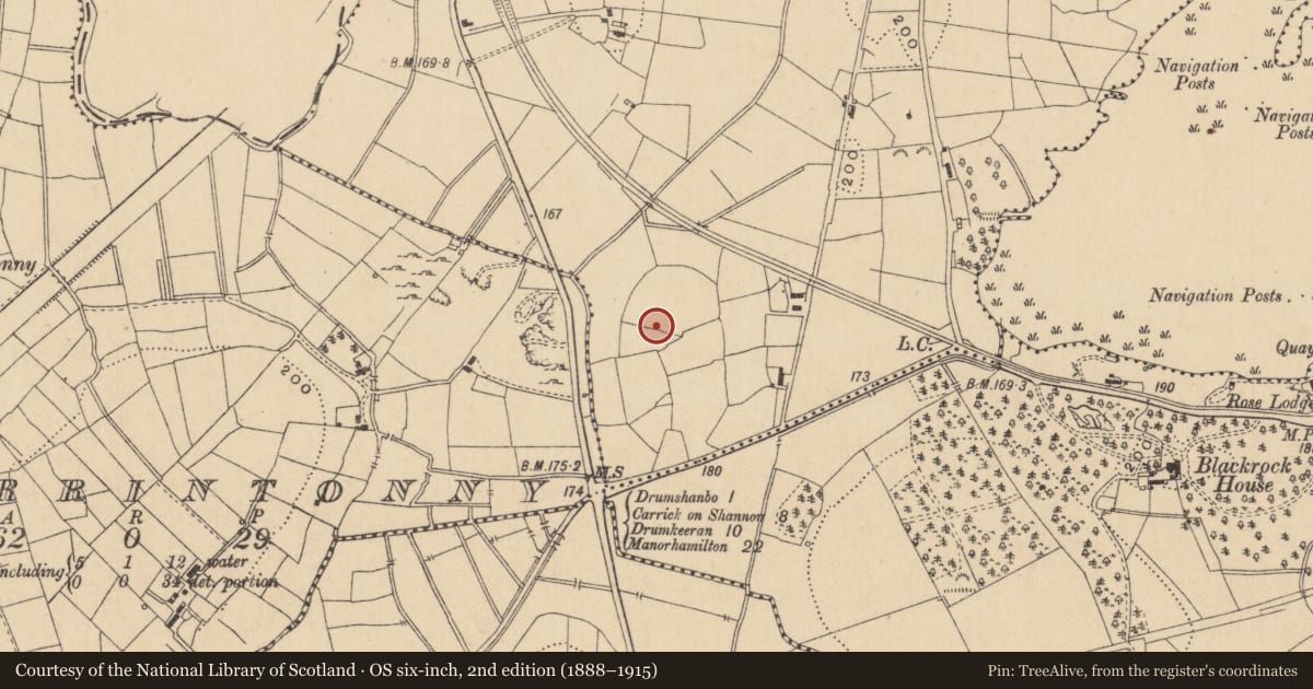 Ordnance Survey six-inch map, 2nd edition (1888–1915) covering the location of Ringfort - rath, Mahanagh, County Leitrim, with a pin at the register's coordinates