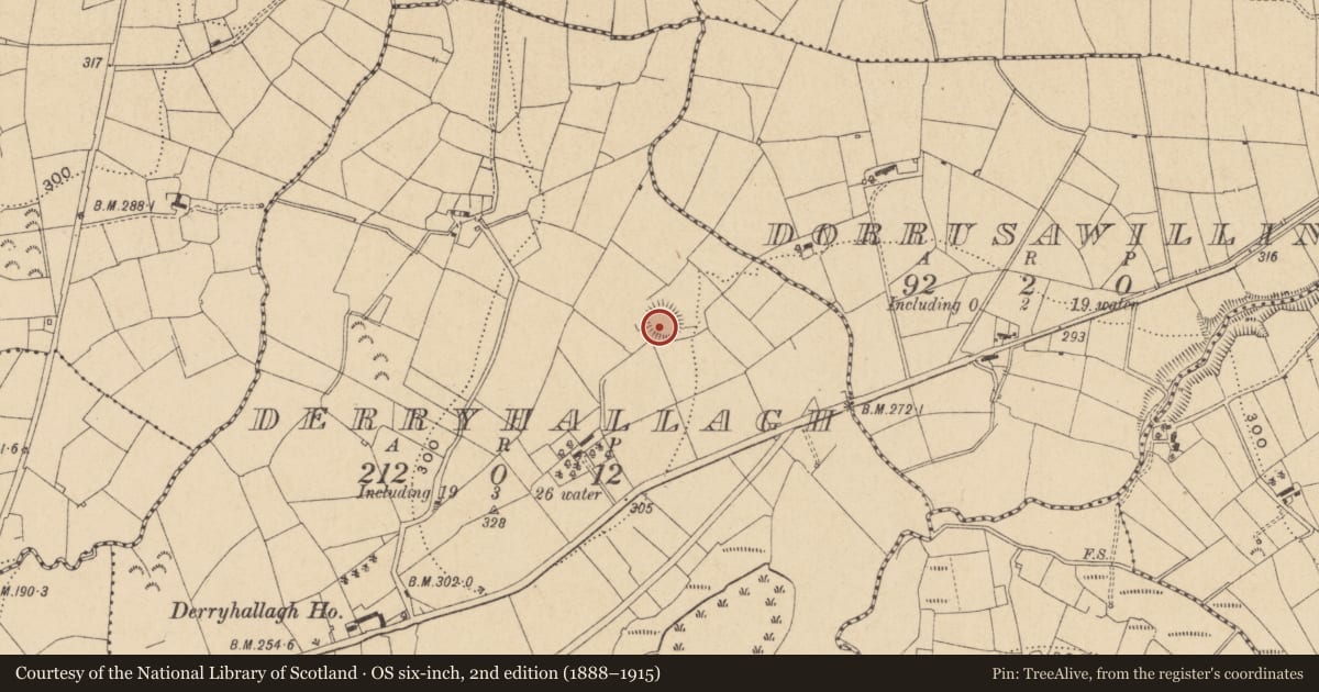 Ordnance Survey six-inch map, 2nd edition (1888–1915) covering the location of Ringfort - rath, Derryhallagh, County Leitrim, with a pin at the register's coordinates