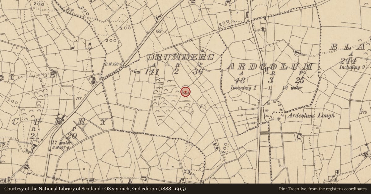 Ordnance Survey six-inch map, 2nd edition (1888–1915) covering the location of Ringfort - rath, Drumderg, County Leitrim, with a pin at the register's coordinates