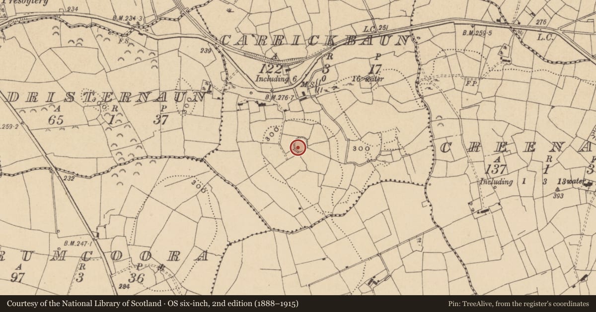 Ordnance Survey six-inch map, 2nd edition (1888–1915) covering the location of Ringfort - rath, Carrickbaun, County Leitrim, with a pin at the register's coordinates