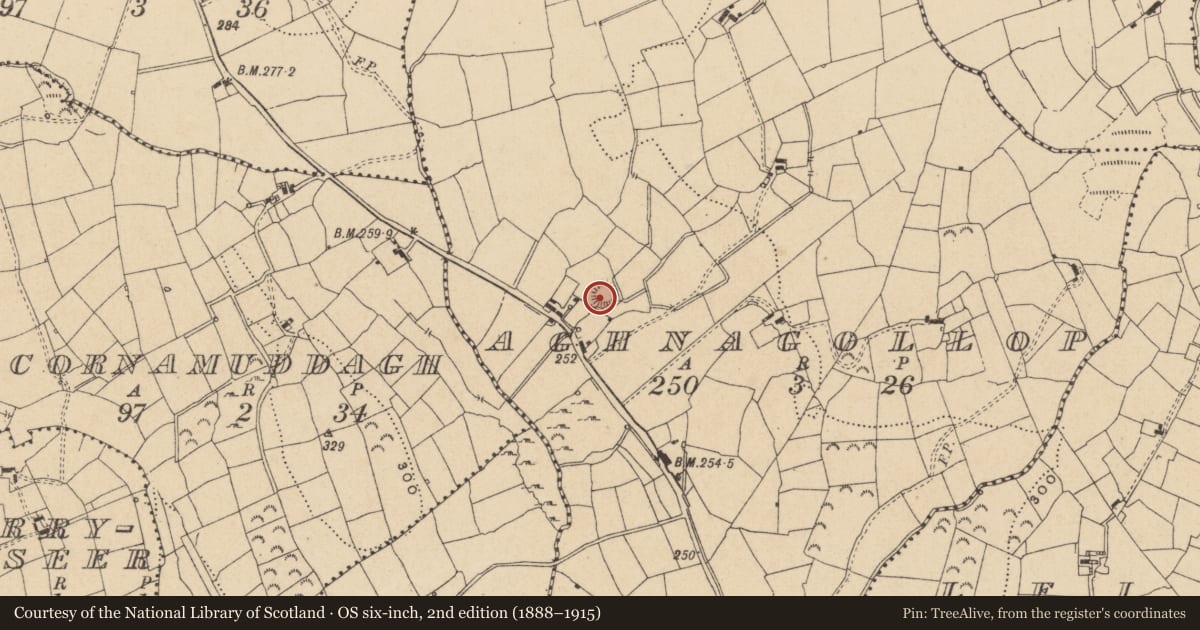 Ordnance Survey six-inch map, 2nd edition (1888–1915) covering the location of Ringfort - rath, Aghnagollop, County Leitrim, with a pin at the register's coordinates