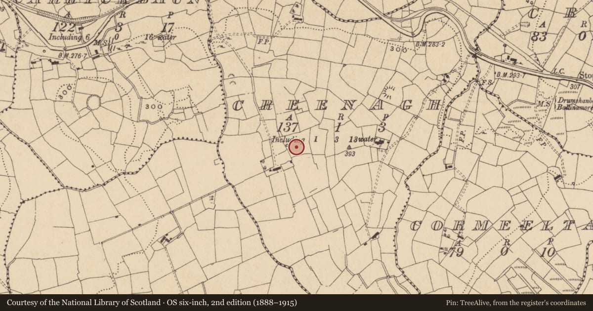 Ordnance Survey six-inch map, 2nd edition (1888–1915) covering the location of Ringfort - rath, Creenagh, County Leitrim, with a pin at the register's coordinates
