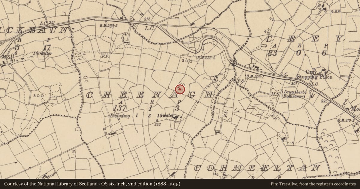 Ordnance Survey six-inch map, 2nd edition (1888–1915) covering the location of Ringfort - rath, Creenagh, County Leitrim, with a pin at the register's coordinates