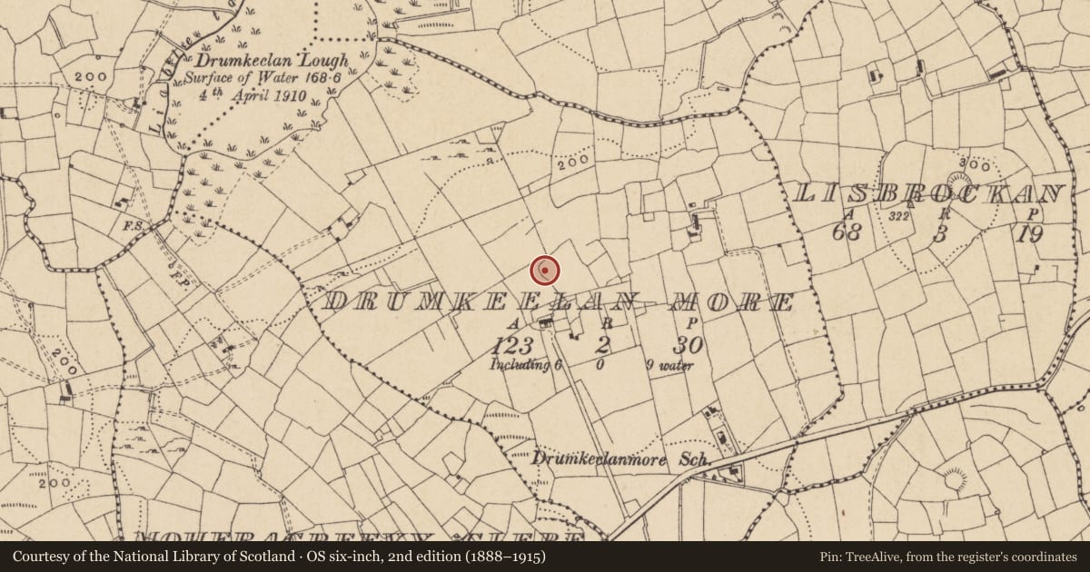 Ordnance Survey six-inch map, 2nd edition (1888–1915) covering the location of Ringfort - rath, Drumkeelan More, County Leitrim, with a pin at the register's coordinates