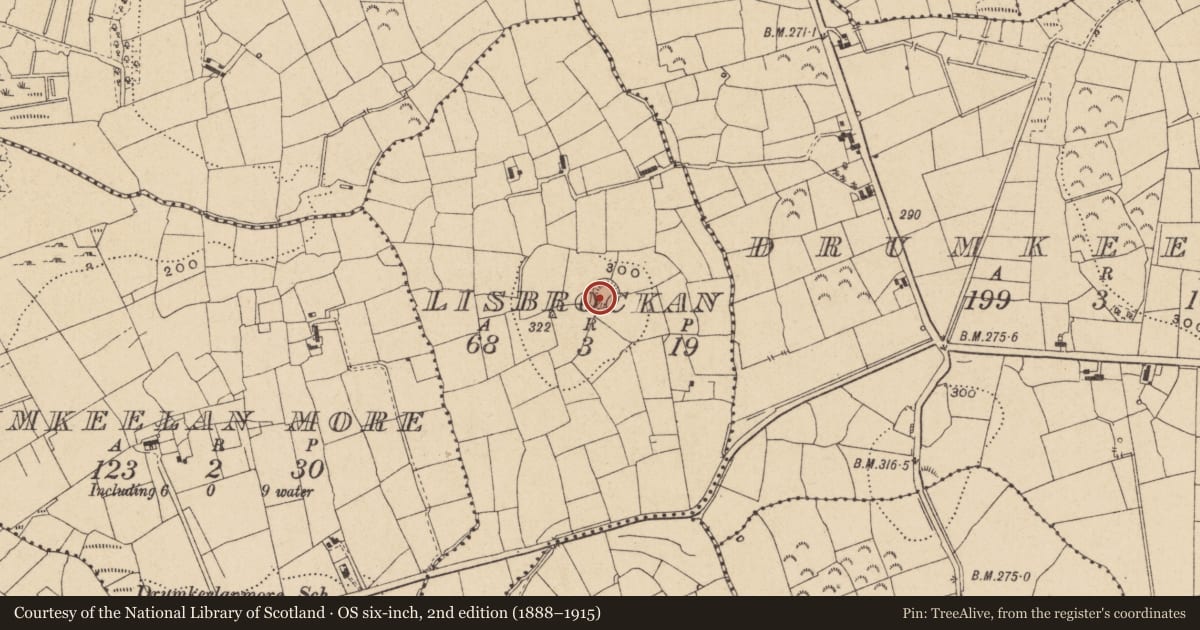 Ordnance Survey six-inch map, 2nd edition (1888–1915) covering the location of Ringfort - rath, Lisbrockan, County Leitrim, with a pin at the register's coordinates