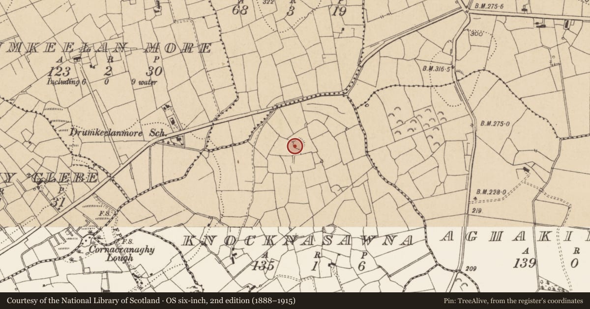 Ordnance Survey six-inch map, 2nd edition (1888–1915) covering the location of Ringfort - rath, Knocknasawna, County Leitrim, with a pin at the register's coordinates