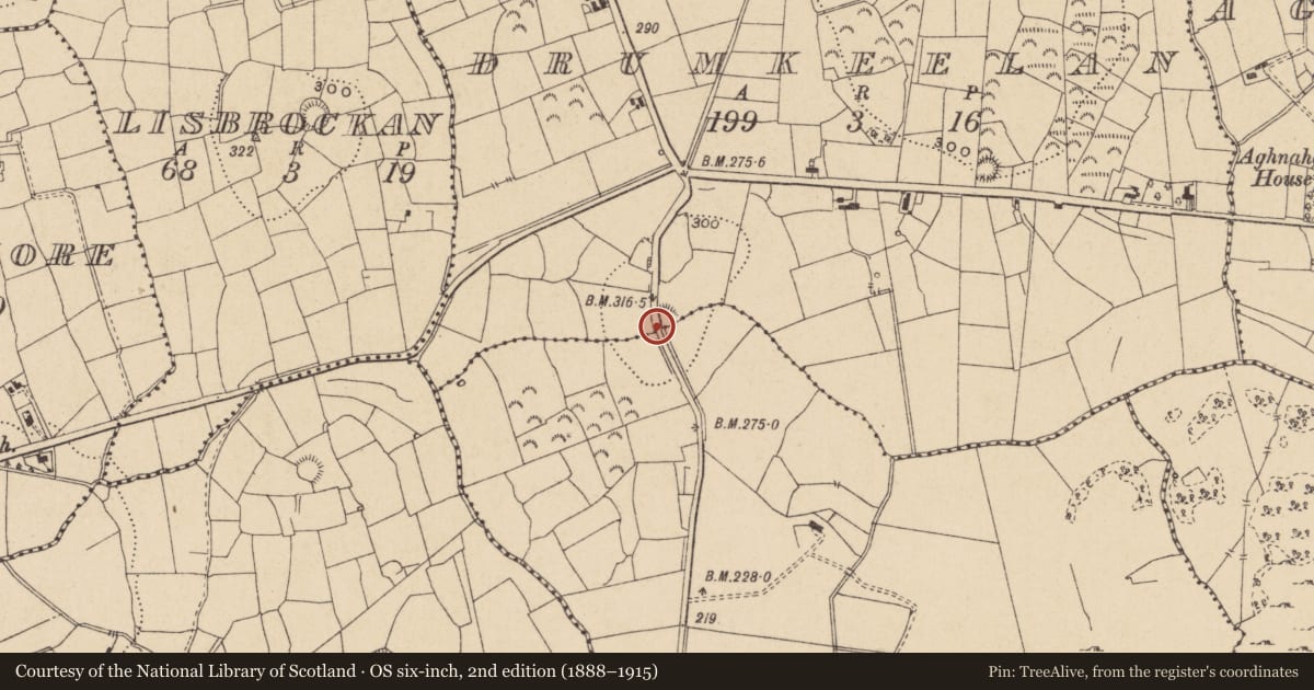 Ordnance Survey six-inch map, 2nd edition (1888–1915) covering the location of Ringfort - rath, Drumkeelan, County Leitrim, with a pin at the register's coordinates
