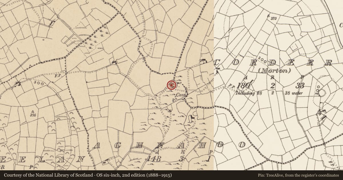 Ordnance Survey six-inch map, 2nd edition (1888–1915) covering the location of Ringfort - cashel, Aghnahoo, County Leitrim, with a pin at the register's coordinates