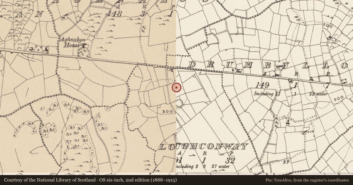 Ordnance Survey six-inch map, 2nd edition (1888–1915) covering the location of Enclosure, Loughconway, County Leitrim, with a pin at the register's coordinates
