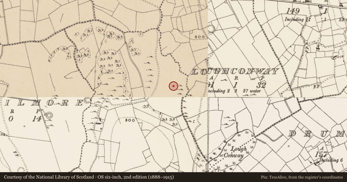 Ordnance Survey six-inch map, 2nd edition (1888–1915) covering the location of Megalithic tomb - passage tomb, Drumruekill, County Leitrim, with a pin at the register's coordinates