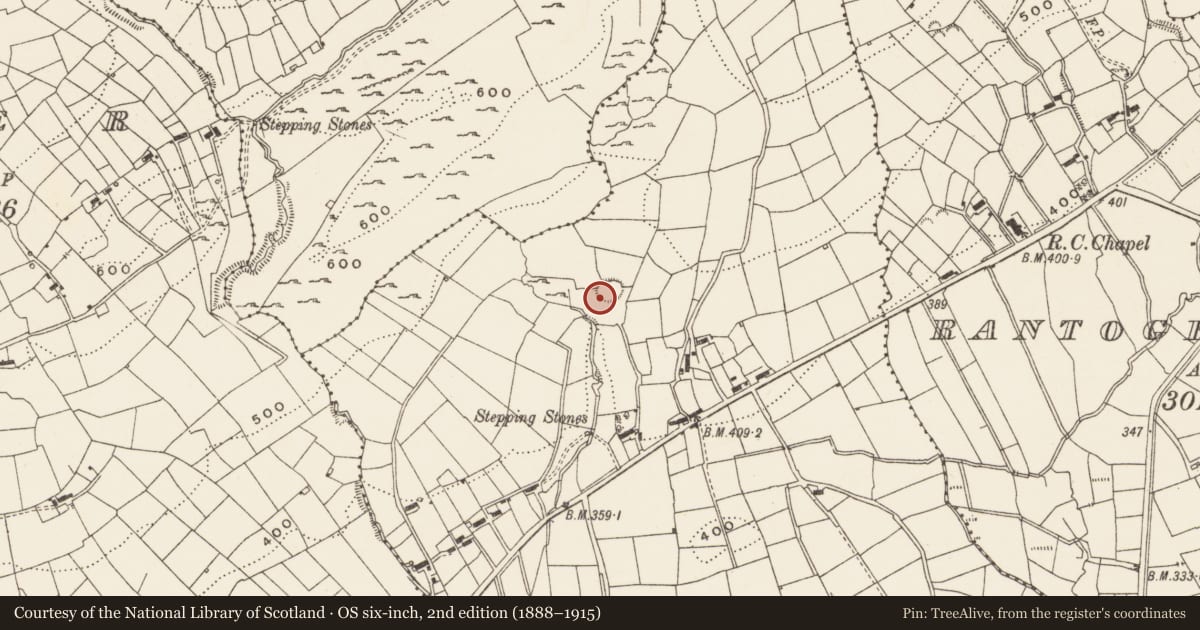 Ordnance Survey six-inch map, 2nd edition (1888–1915) covering the location of Ringfort - rath, Bunrevagh, County Leitrim, with a pin at the register's coordinates