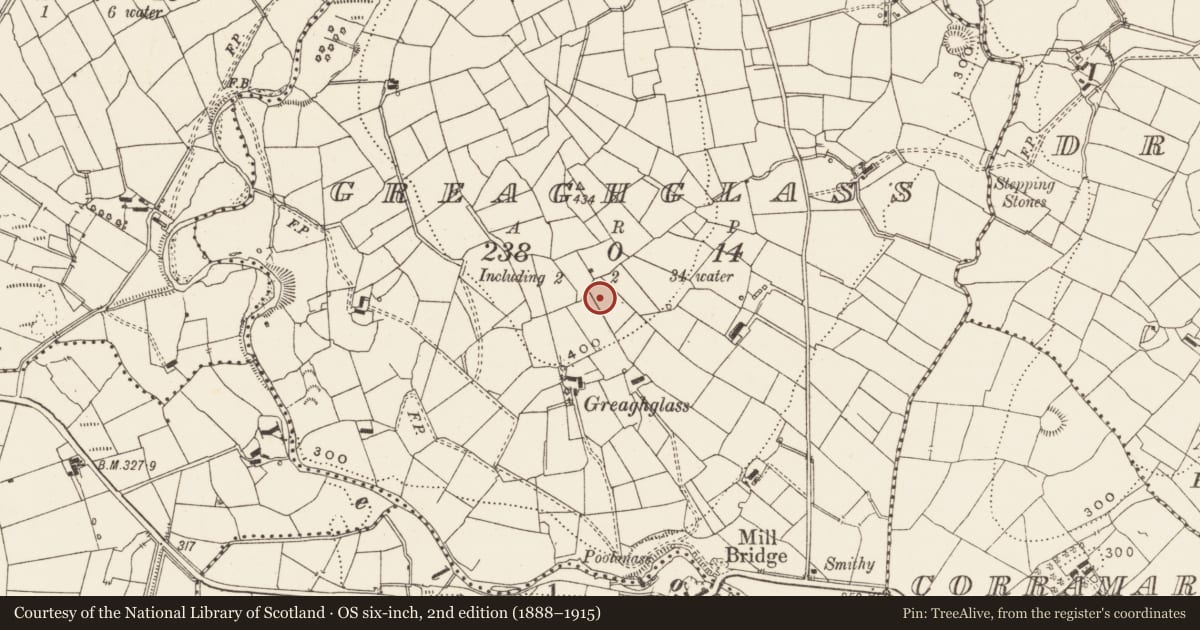 Ordnance Survey six-inch map, 2nd edition (1888–1915) covering the location of Ringfort - rath, Greaghglass, County Leitrim, with a pin at the register's coordinates