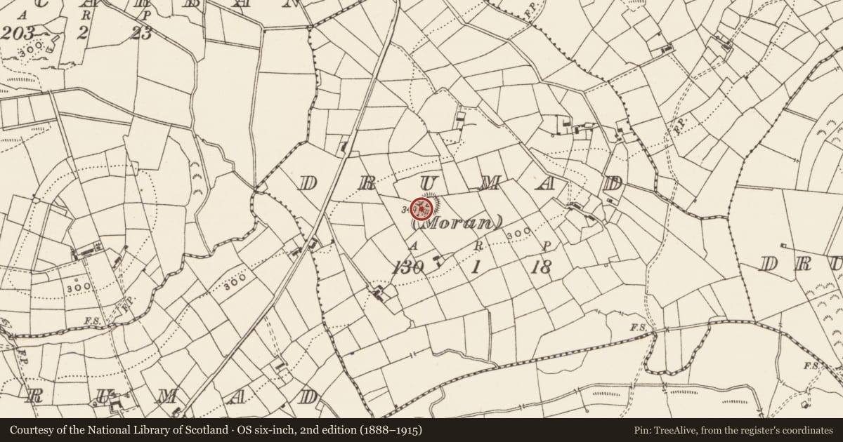 Ordnance Survey six-inch map, 2nd edition (1888–1915) covering the location of Barrow - ring-barrow, Drumad (Moran), County Leitrim, with a pin at the register's coordinates