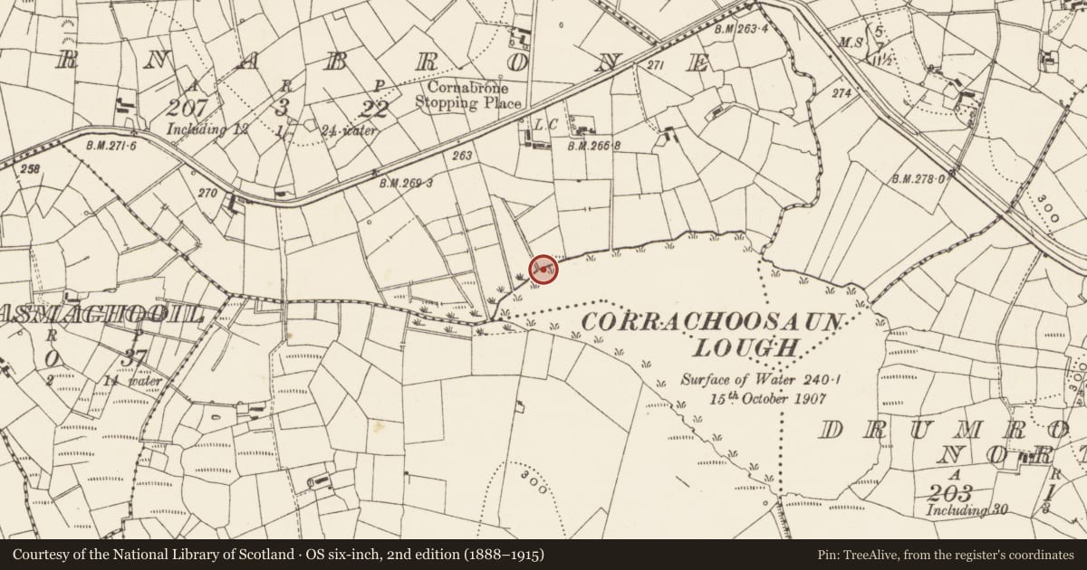 Ordnance Survey six-inch map, 2nd edition (1888–1915) covering the location of Crannog, Cornabrone, County Leitrim, with a pin at the register's coordinates