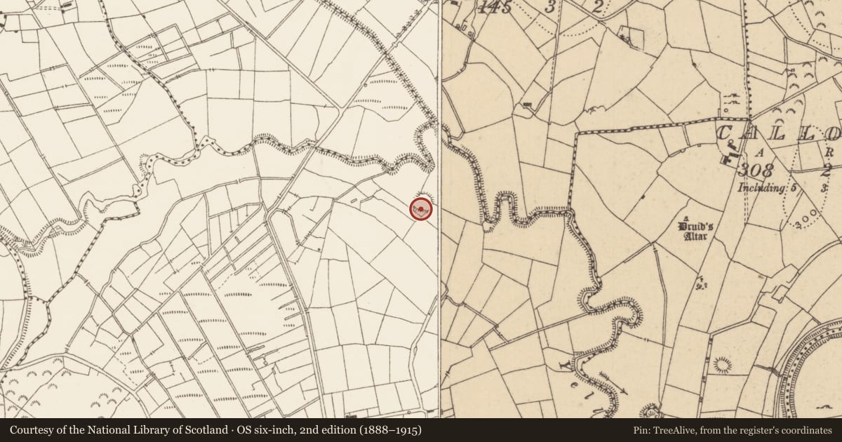 Ordnance Survey six-inch map, 2nd edition (1888–1915) covering the location of Ringfort - rath, Mayo, County Leitrim, with a pin at the register's coordinates