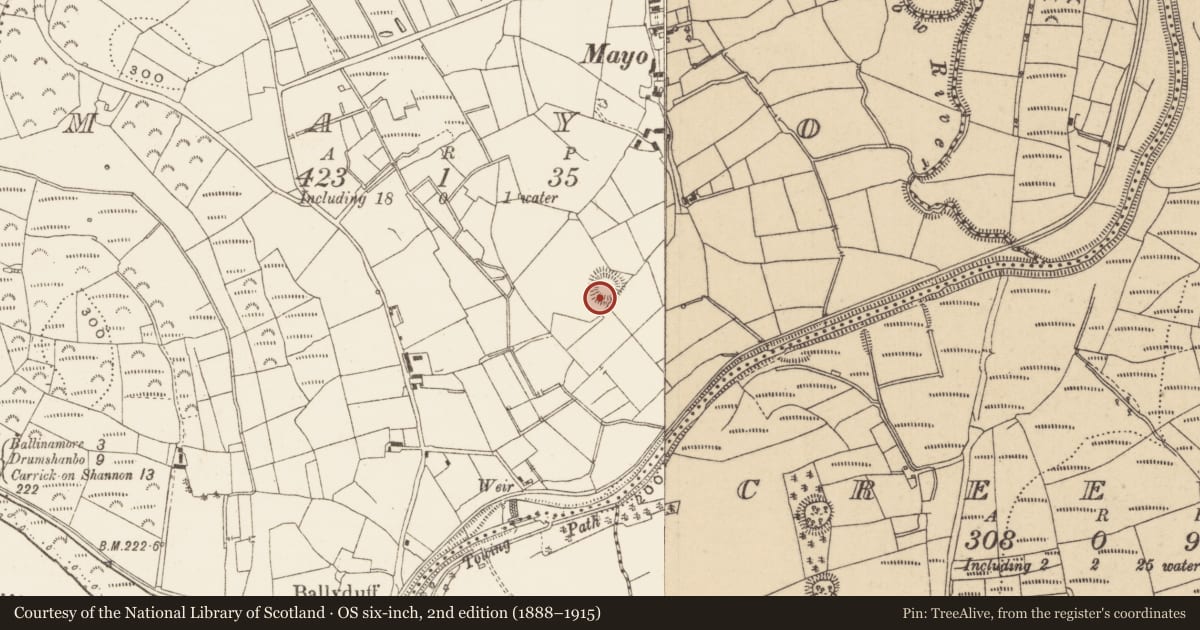 Ordnance Survey six-inch map, 2nd edition (1888–1915) covering the location of Ringfort - rath, Mayo, County Leitrim, with a pin at the register's coordinates