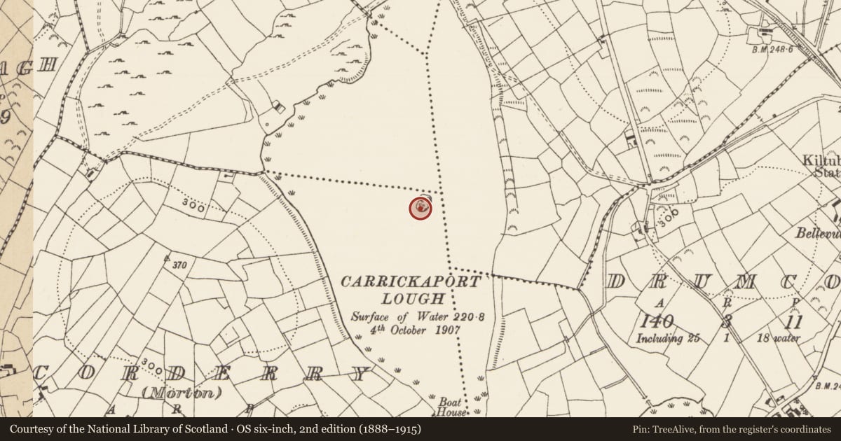 Ordnance Survey six-inch map, 2nd edition (1888–1915) covering the location of Crannog, Corderry (Morton), County Leitrim, with a pin at the register's coordinates