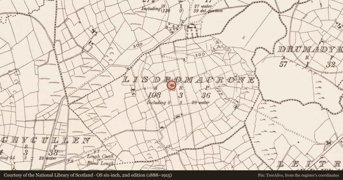 Ordnance Survey six-inch map, 2nd edition (1888–1915) covering the location of Ringfort - rath, Lisdromacrone, County Leitrim, with a pin at the register's coordinates