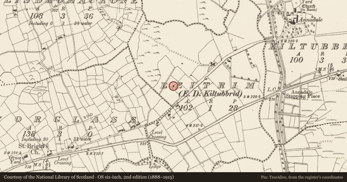 Ordnance Survey six-inch map, 2nd edition (1888–1915) covering the location of Ringfort - rath, Leitrim, with a pin at the register's coordinates