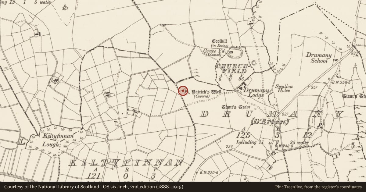 Ordnance Survey six-inch map, 2nd edition (1888–1915) covering the location of Bullaun stone, Drumany (O' Brien), County Leitrim, with a pin at the register's coordinates