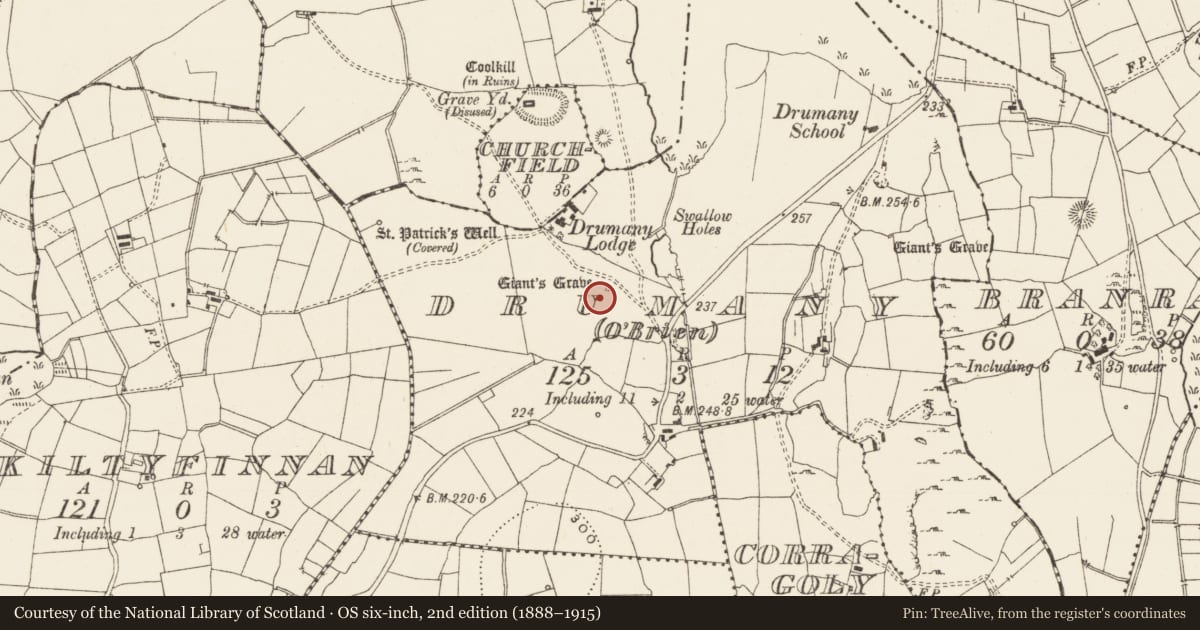 Ordnance Survey six-inch map, 2nd edition (1888–1915) covering the location of Megalithic tomb - wedge tomb, Drumany (O' Brien), County Leitrim, with a pin at the register's coordinates