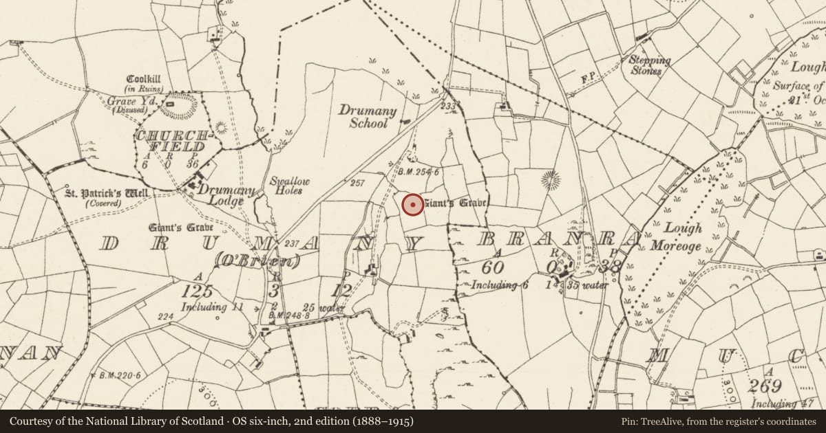 Ordnance Survey six-inch map, 2nd edition (1888–1915) covering the location of Megalithic tomb - portal tomb, Drumany (O' Brien), County Leitrim, with a pin at the register's coordinates