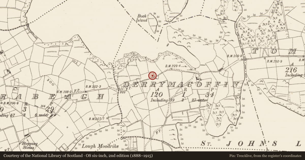 Ordnance Survey six-inch map, 2nd edition (1888–1915) covering the location of Ringfort - unclassified, Derrymacoffin, County Leitrim, with a pin at the register's coordinates