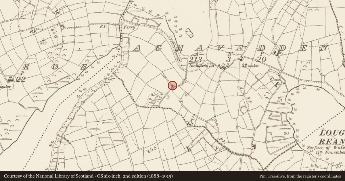 Ordnance Survey six-inch map, 2nd edition (1888–1915) covering the location of Ringfort - unclassified, Aghavadden, County Leitrim, with a pin at the register's coordinates
