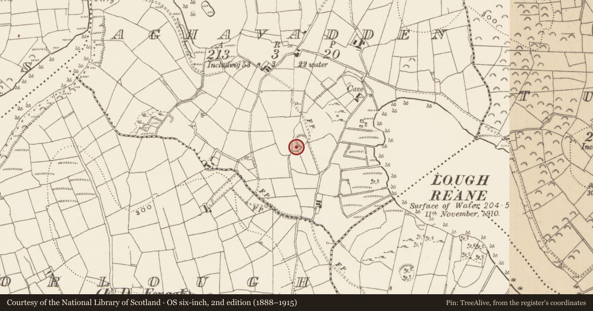 Ordnance Survey six-inch map, 2nd edition (1888–1915) covering the location of Ringfort - rath, Aghavadden, County Leitrim, with a pin at the register's coordinates