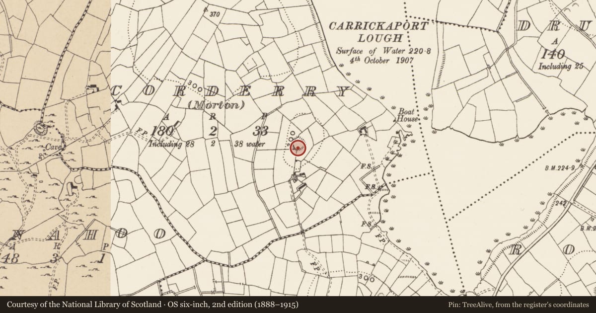 Ordnance Survey six-inch map, 2nd edition (1888–1915) covering the location of Ringfort - rath, Corderry (Morton), County Leitrim, with a pin at the register's coordinates