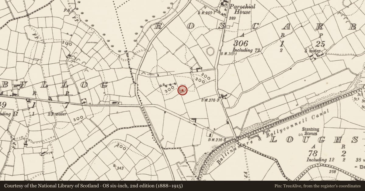 Ordnance Survey six-inch map, 2nd edition (1888–1915) covering the location of Ringfort - rath, Roscarban, County Leitrim, with a pin at the register's coordinates