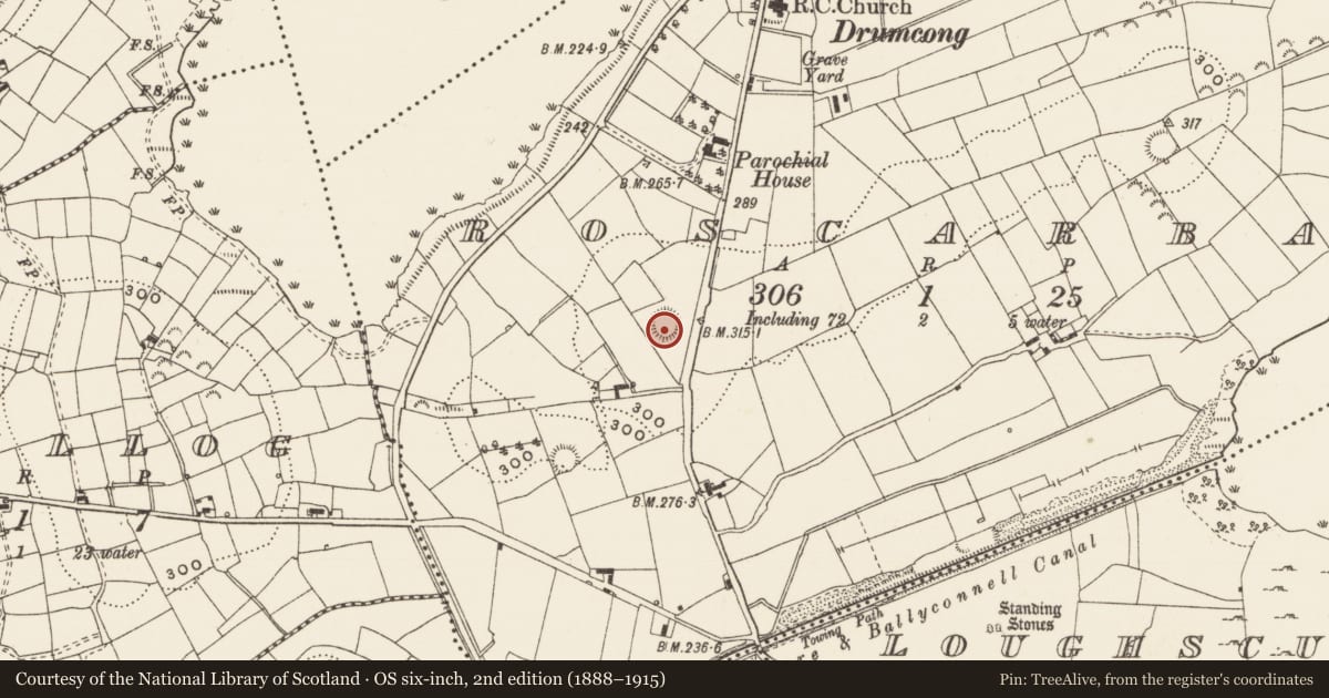 Ordnance Survey six-inch map, 2nd edition (1888–1915) covering the location of Ringfort - rath, Roscarban, County Leitrim, with a pin at the register's coordinates