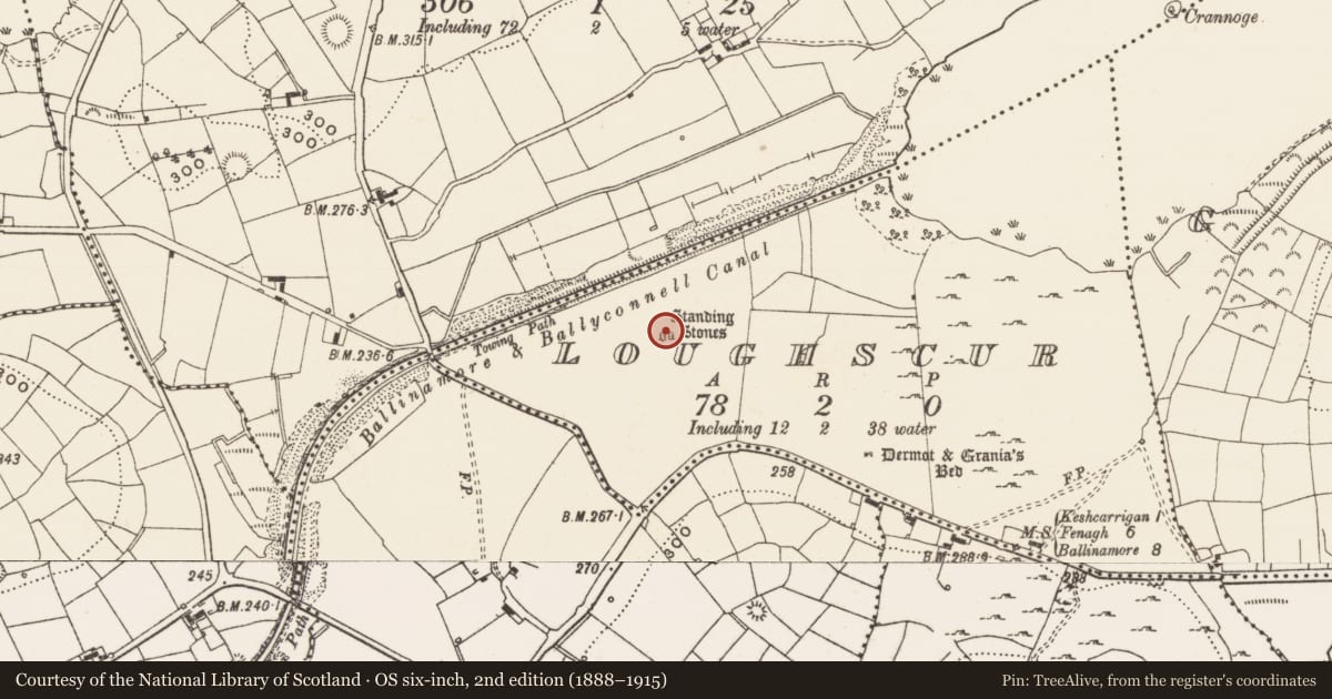 Ordnance Survey six-inch map, 2nd edition (1888–1915) covering the location of Megalithic tomb - wedge tomb, Loughscur, County Leitrim, with a pin at the register's coordinates