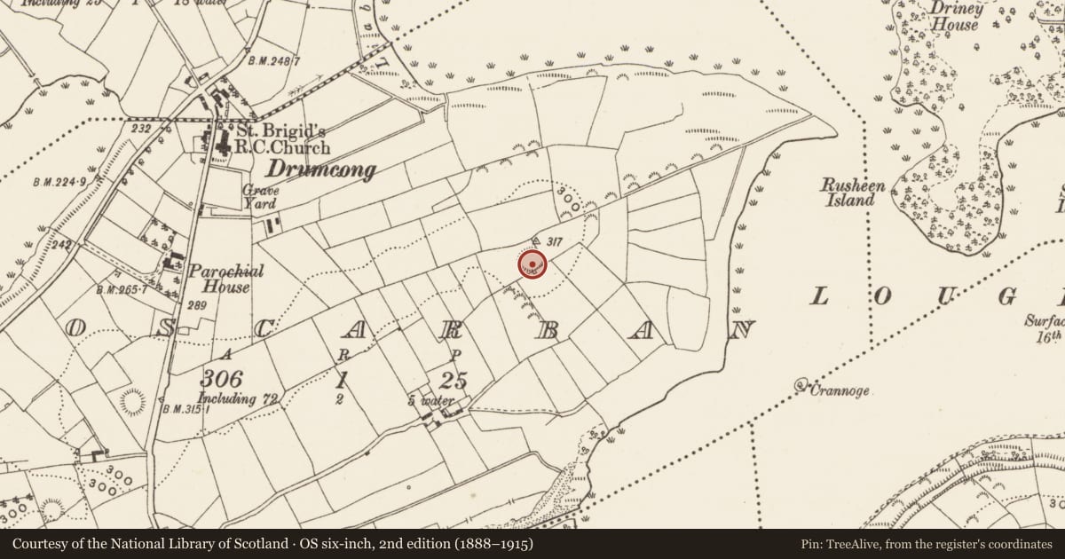 Ordnance Survey six-inch map, 2nd edition (1888–1915) covering the location of Ringfort - rath, Roscarban, County Leitrim, with a pin at the register's coordinates