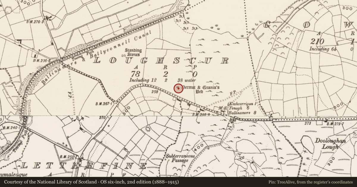 Ordnance Survey six-inch map, 2nd edition (1888–1915) covering the location of Megalithic tomb - portal tomb, Loughscur, County Leitrim, with a pin at the register's coordinates