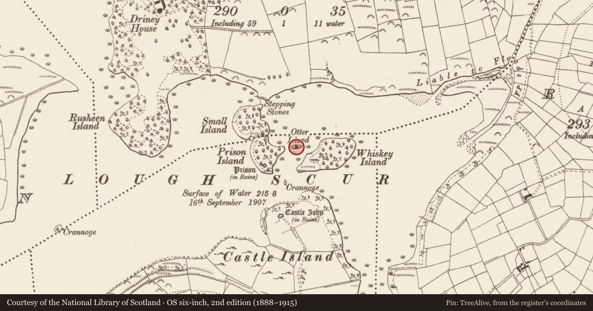 Ordnance Survey six-inch map, 2nd edition (1888–1915) covering the location of Crannog, Gowly, County Leitrim, with a pin at the register's coordinates