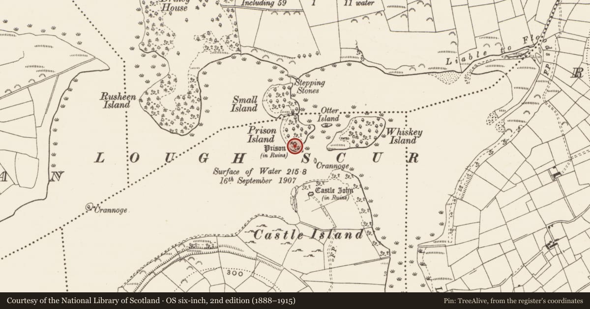 Ordnance Survey six-inch map, 2nd edition (1888–1915) covering the location of Watchtower, Gowly, County Leitrim, with a pin at the register's coordinates