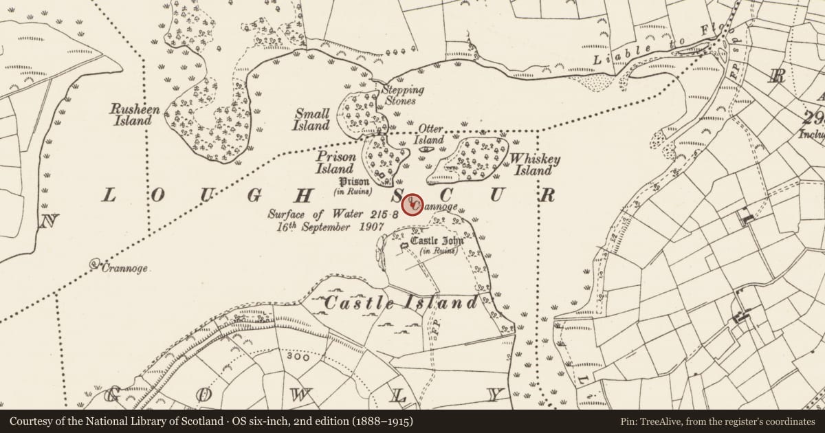 Ordnance Survey six-inch map, 2nd edition (1888–1915) covering the location of Crannog, Gowly, County Leitrim, with a pin at the register's coordinates