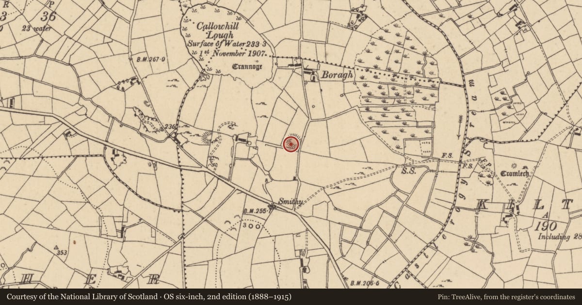 Ordnance Survey six-inch map, 2nd edition (1888–1915) covering the location of Ringfort - rath, Callowhill, County Leitrim, with a pin at the register's coordinates