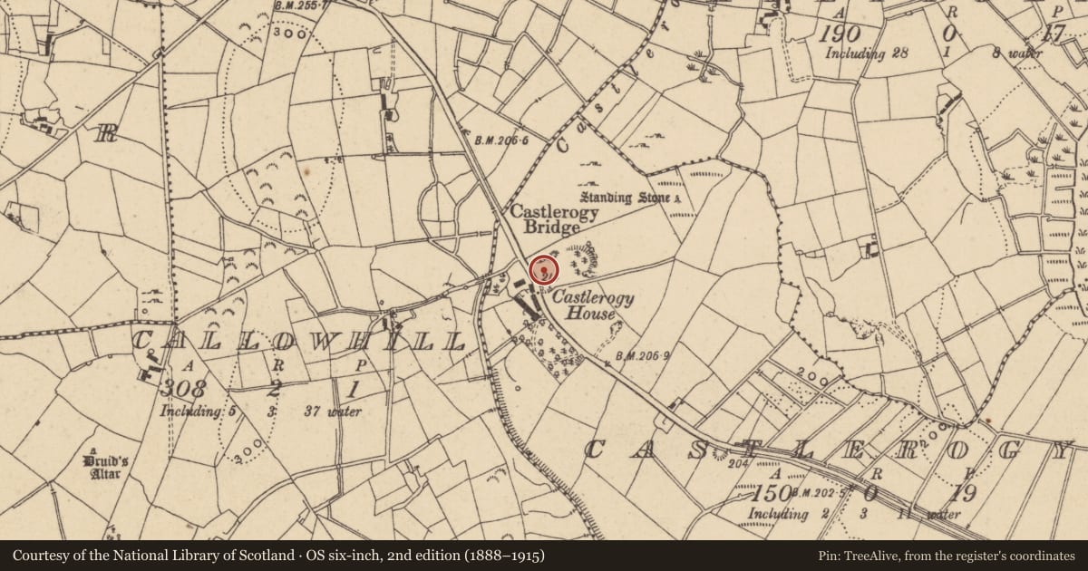 Ordnance Survey six-inch map, 2nd edition (1888–1915) covering the location of Standing stone, Castlerogy, County Leitrim, with a pin at the register's coordinates