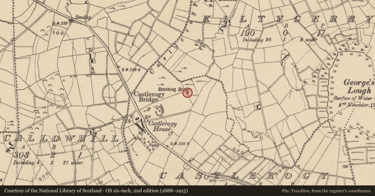 Ordnance Survey six-inch map, 2nd edition (1888–1915) covering the location of Standing stone, Castlerogy, County Leitrim, with a pin at the register's coordinates