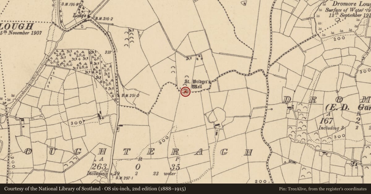 Ordnance Survey six-inch map, 2nd edition (1888–1915) covering the location of Ritual site - holy well, Camagh, County Leitrim, with a pin at the register's coordinates
