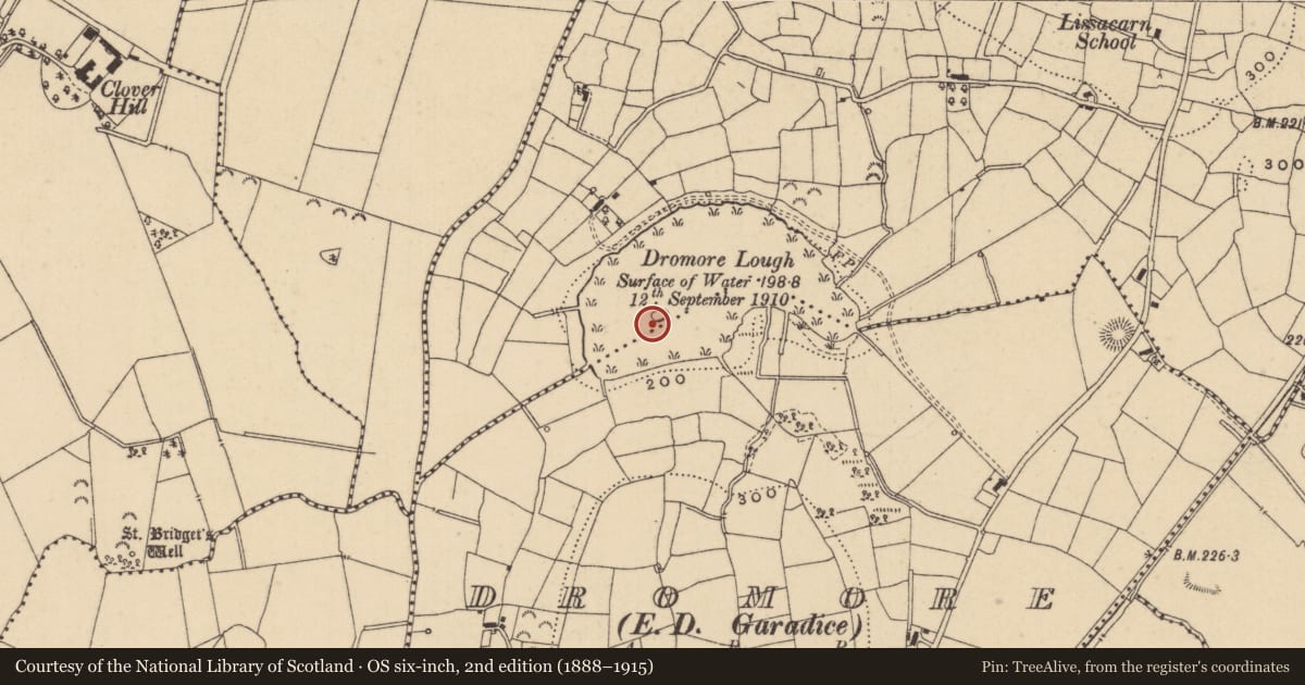 Ordnance Survey six-inch map, 2nd edition (1888–1915) covering the location of Crannog, Lissacarn, County Leitrim, with a pin at the register's coordinates