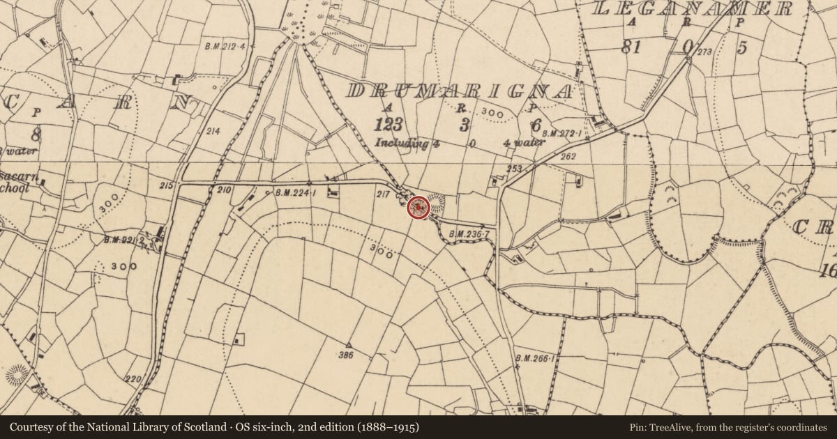 Ordnance Survey six-inch map, 2nd edition (1888–1915) covering the location of Ringfort - unclassified, Drumarigna, County Leitrim, with a pin at the register's coordinates