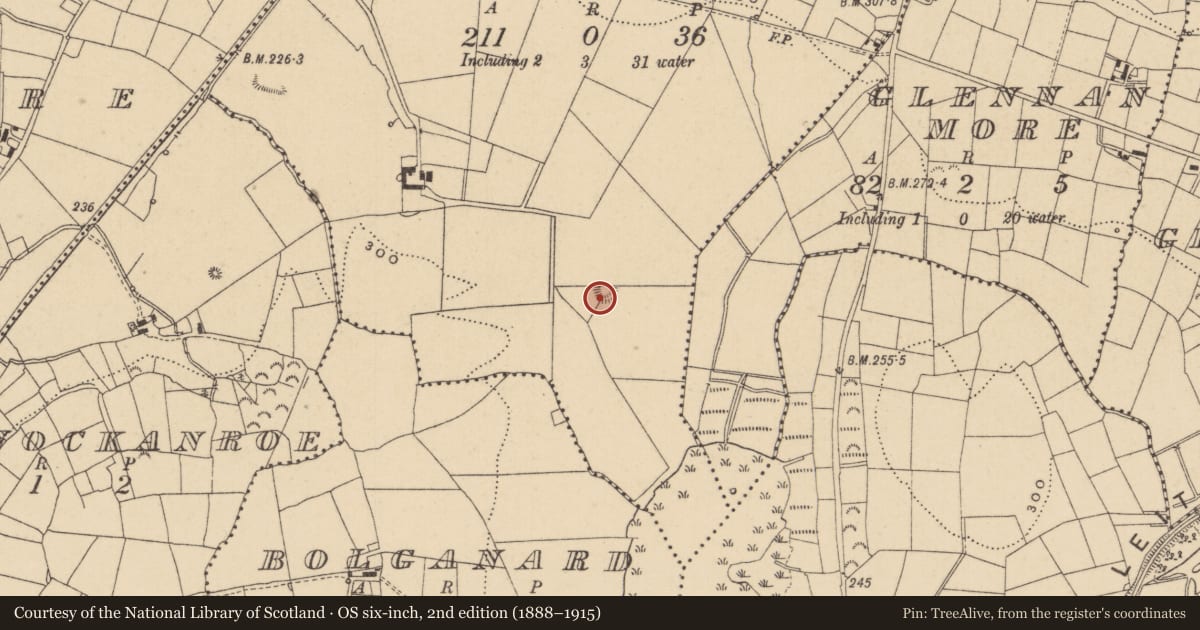 Ordnance Survey six-inch map, 2nd edition (1888–1915) covering the location of Ringfort - rath, Cleendargan, County Leitrim, with a pin at the register's coordinates