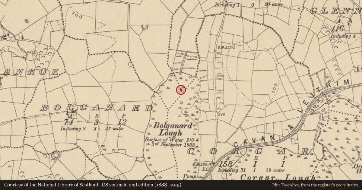 Ordnance Survey six-inch map, 2nd edition (1888–1915) covering the location of Crannog, Glennan More, County Leitrim, with a pin at the register's coordinates