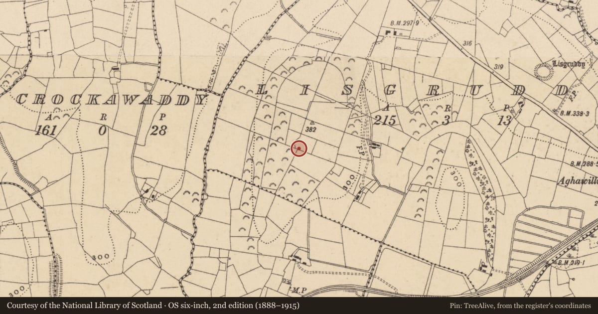 Ordnance Survey six-inch map, 2nd edition (1888–1915) covering the location of Ringfort - rath, Lisgruddy, County Leitrim, with a pin at the register's coordinates