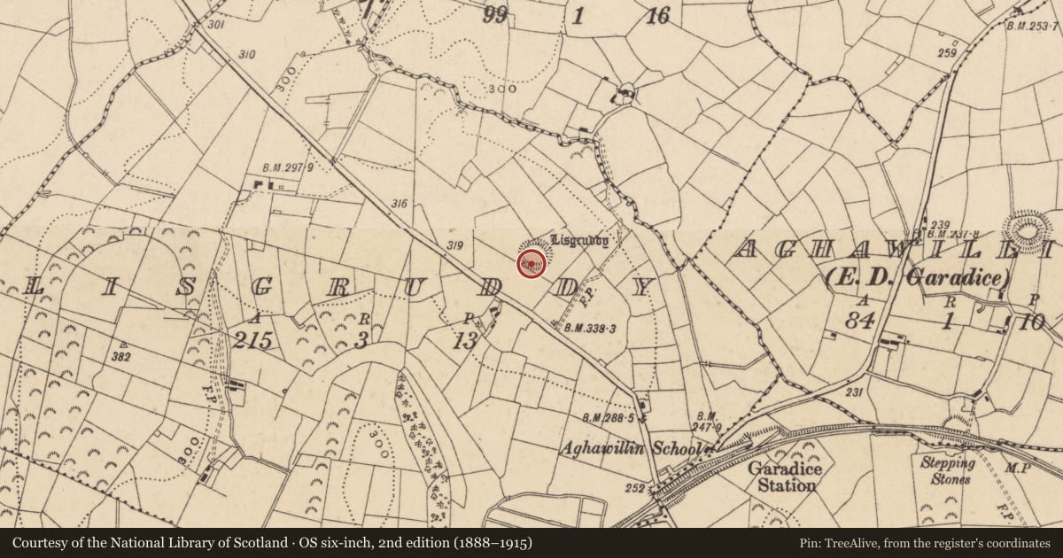 Ordnance Survey six-inch map, 2nd edition (1888–1915) covering the location of Ringfort - rath, Lisgruddy, County Leitrim, with a pin at the register's coordinates